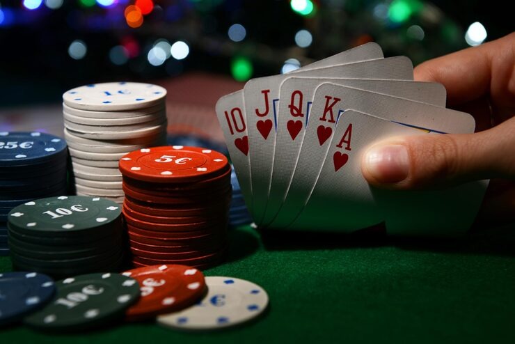 royalbet88 user Mobile user and Brand